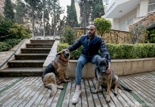 犬や猫は危険な動物 イランのペット禁止法案に批判と冷笑 写真11枚 ファッション ニュースならmode Press Powered By Afpbb News