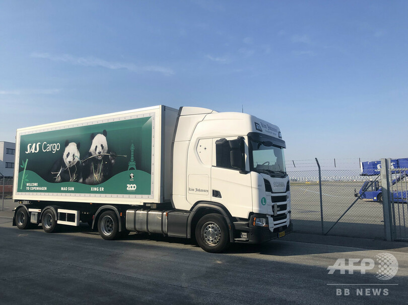 中国のパンダ、「星二」と「毛二」がデンマークに到着