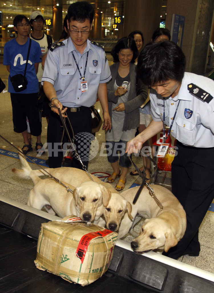 クローン捜査犬がデビュー、韓国
