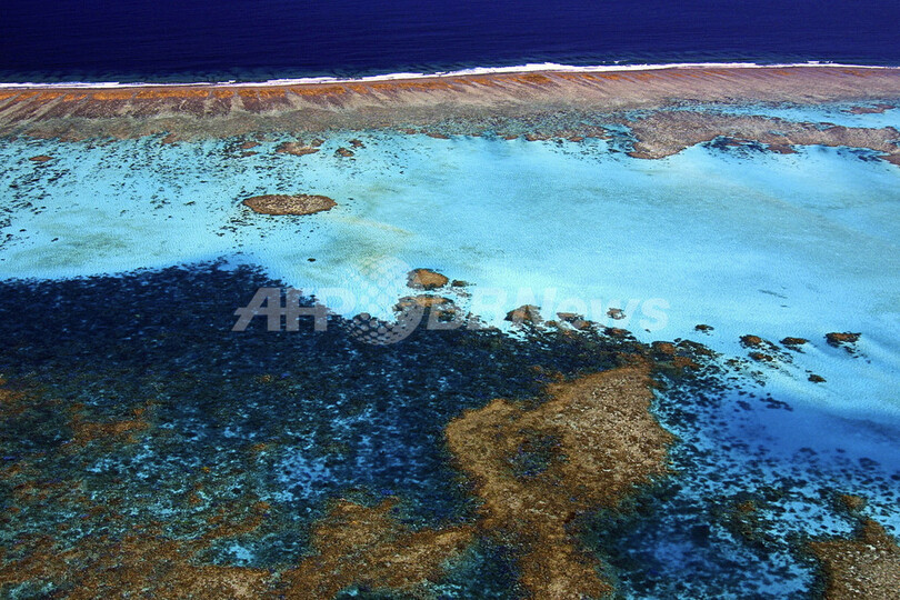 ニューカレドニア さんご礁の世界遺産登録を目指す 写真1枚 国際ニュース Afpbb News