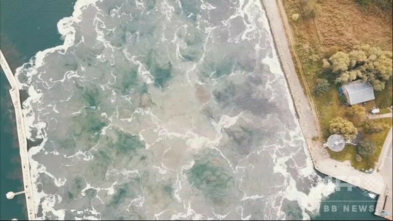 第2次世界大戦の巨大不発弾、処理作業中に爆発 けが人なし