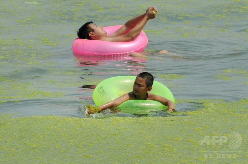 今年も藻が大量発生、中国・青島の海岸 原因は不明