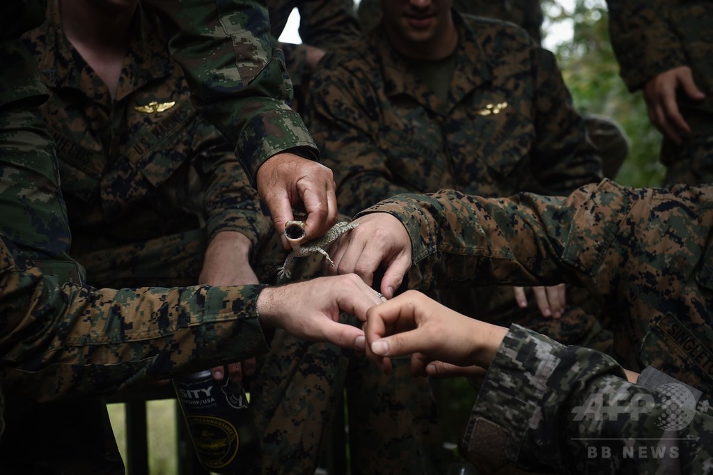 ヘビの血すする訓練も、タイで合同軍事演習「コブラゴールド」実施 写真8枚 国際ニュース：AFPBB News