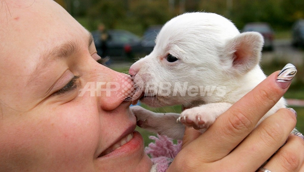 犬を飼うと子どもが花粉症やぜんそくにかかりにくくなる ドイツ研究 写真1枚 国際ニュース Afpbb News