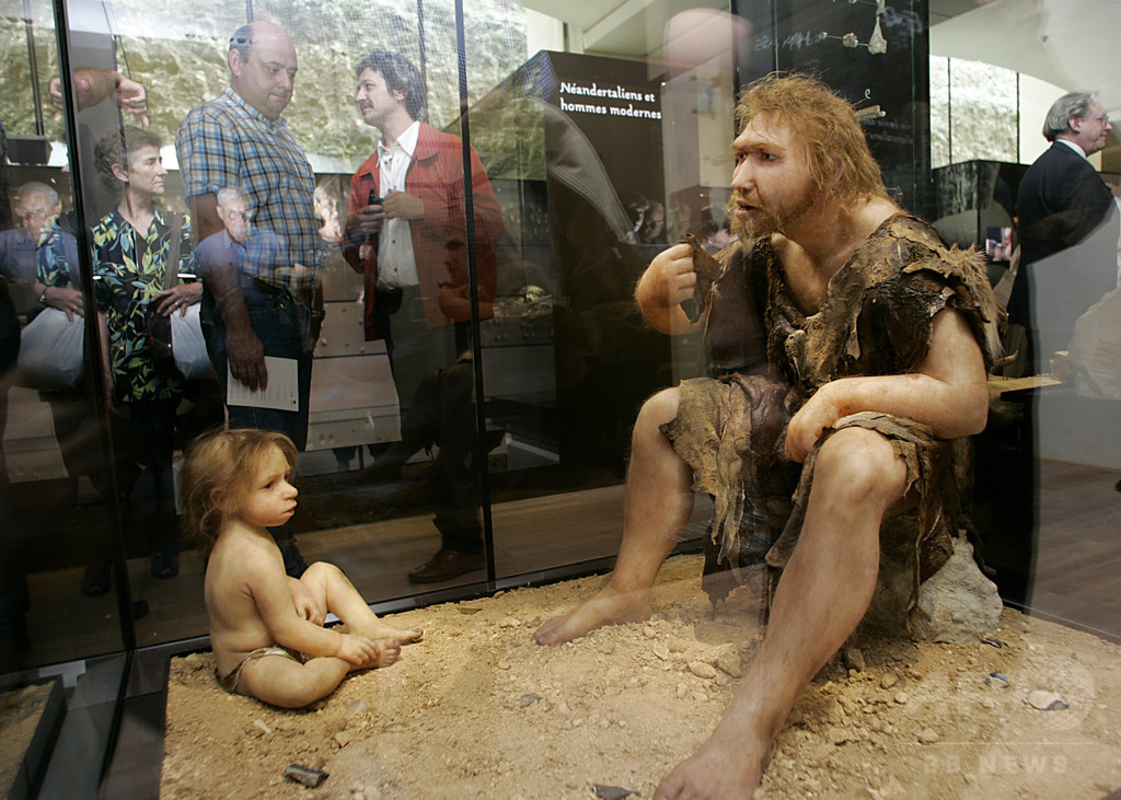 ネアンデルタール人の成長過程、現生人類と類似か 研究 ネアンデルタール人の成長過程、現生人類と類似か 研究