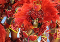 ブラジル・リオデジャネイロ（Rio de Janeiro）のカーニバルで9日、名門サンバチーム「ベイジャ・フロル（Beija-Flor）」の優勝が発表された。

ベイジャ・フロルの優勝はこれで13回目。雨にもかかわらず7万人の観衆が熱狂した8日のパレードでは10以上の参加チームのトリを務めた。

4000人のダンサーが参加したベイジャ・フロルのパレードに費やされた費用は、なんと約400万ドル（約3億3000万円）。カーニバルは8日夜に終了したが、同チームの優勝パーティーは10日まで続きそうだ（2011年3月8日撮影）。(c)AFP/VANDERLEI ALMEIDA