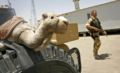 物資輸送の要、ウムカスル港を米大使が訪問 - イラク