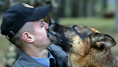 ベラルーシ、警察犬がコンクールで熟練技を披露