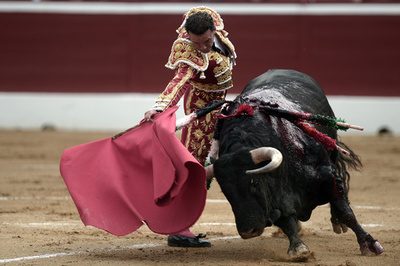 反闘牛活動家が闘技場に乱入、直後に牛から攻撃 フランス