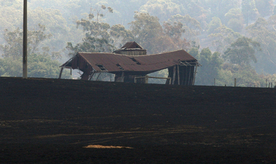 オーストラリア山火事、一部放火と断定