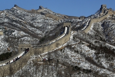 万里の長城付近にオオカミ出現、数十年ぶり