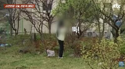 「傘を差して堂々と」他人の庭の山菜を根こそぎ盗む女性…韓国・ホームカメラが捉えた犯行