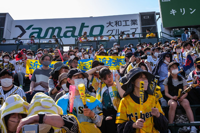 Japan baseball fans leap into river as 'Curse of the Colonel' lifted