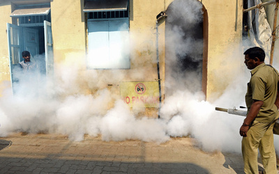 アジア・アフリカのジカウイルス危険地域に26億人