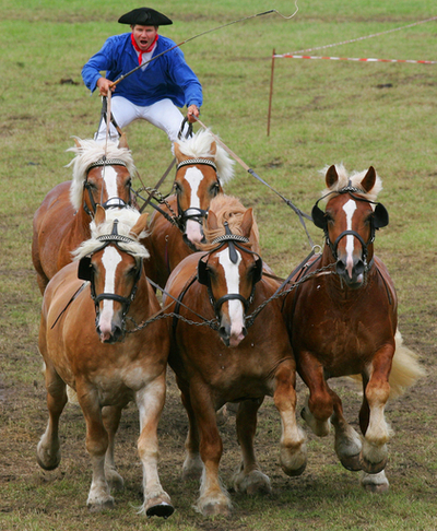 タフな馬術コンテスト、ドイツで開催