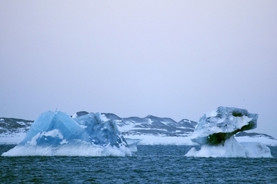 北極海と南極海には多数の共通種が生息、海洋生物調査