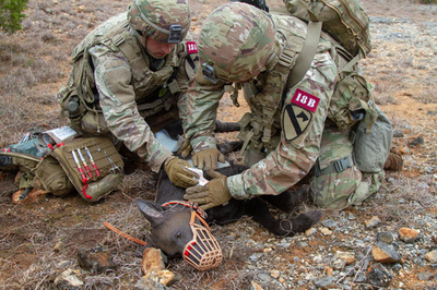 死力を尽くして戦友を救え、陸軍衛生兵の競技会 米