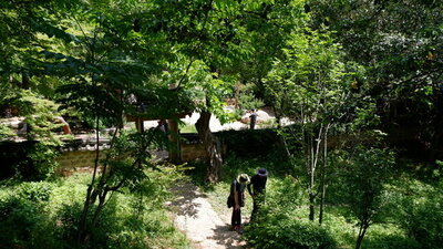 「映える茶畑」が人気…知られざる緑茶の聖地を旅する (中) – KOREA WAVE