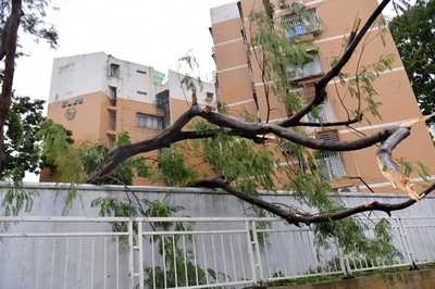 台風14号、広東各地で暴風雨