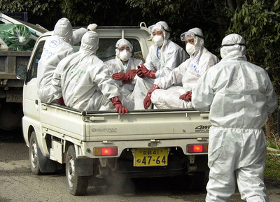 ＜鳥インフルエンザ＞宮崎県の養鶏場で、鳥インフルエンザが発生の疑い - 宮崎