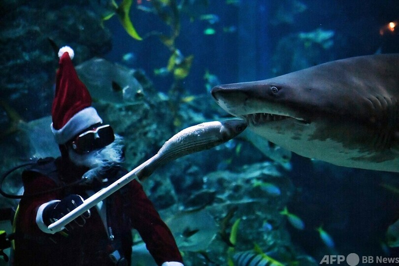 水中サンタからプレゼント！ タイ・バンコク