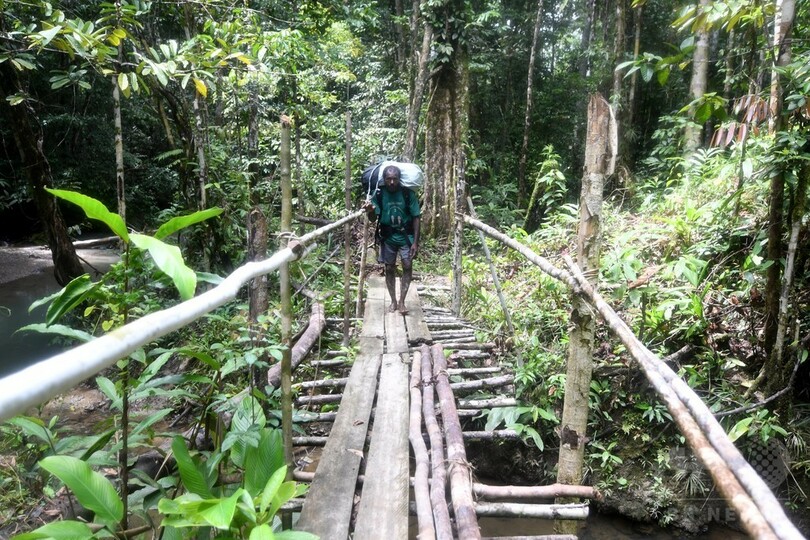 ジャングルから消えゆく鳥たち、地元住民で保護する動き インドネシア