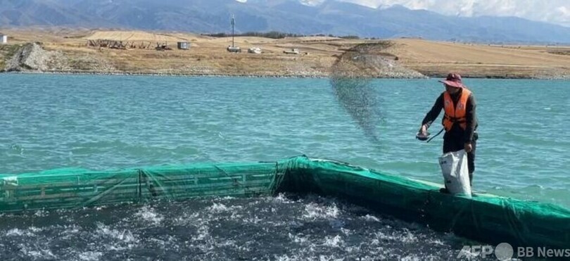 海から最も遠い新疆で水産物の養殖を 中国