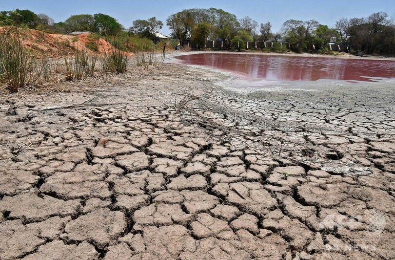 ピンクに変色 干上がる湖 工場廃棄物が原因か パラグアイ 写真7枚 国際ニュース Afpbb News