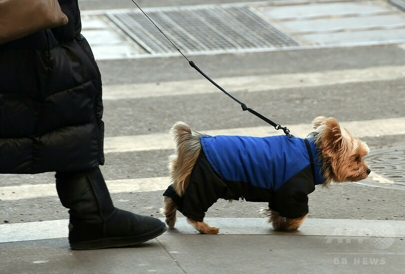 寒さにもめげず…早朝のマンハッタンを行く人たち