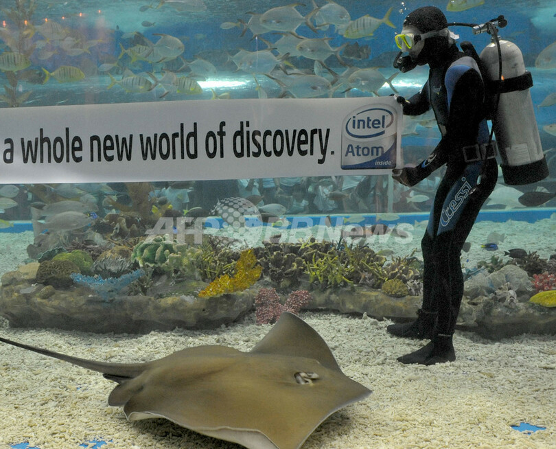 インテルの新マイクロプロセッサ「アトム」、水族館でもPR
