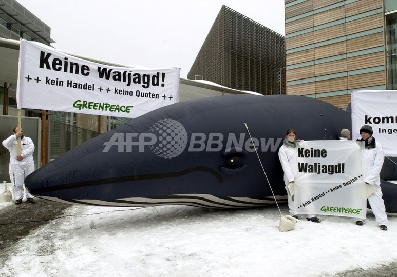 アイスランドとノルウェーが日本への鯨肉輸出を再開 アイスランドとノルウェーが日本への鯨肉輸出を再開