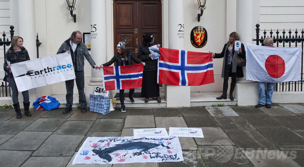 ノルウェー、今年のクジラ捕獲枠を発表 昨年と同じ1286頭 ノルウェー、今年のクジラ捕獲枠を発表 昨年と同じ1286頭