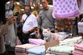香港の市場の店先で写真を撮られる猫（2025年2月13日撮影）。(c)Peter PARKS / AFP
