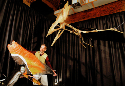 翼竜はパラグライダーに似ていた、米研究