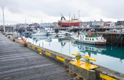 アイスランド「蚊のいない国」の定説覆る 自然生息を確認