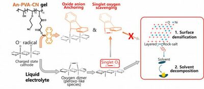 ジェル状にした電解質で電気自動車バッテリーの寿命が2.8倍に向上…韓国の研究チームが開発
