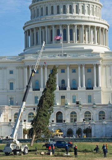 クリスマスまで1か月、米連邦議会議事堂にツリー設置