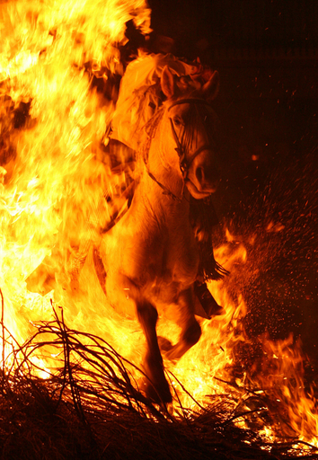 スペインで聖アントニオ祭、人馬が炎を飛び越える