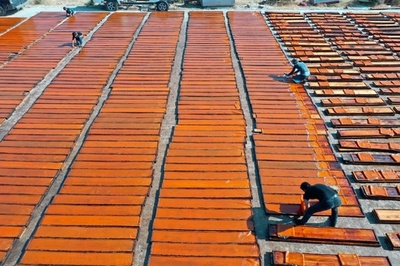 特産飲料「カマルアルディン」、乾燥あんずの生産風景 シリア