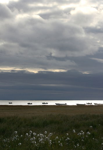 ヨットで世界一周の英国人、世界初の北極海単独横断に挑戦