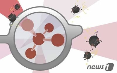 致死率最大75％ニパウイルス、韓国で「1級感染症」に指定へ…新型コロナ以来5年ぶり