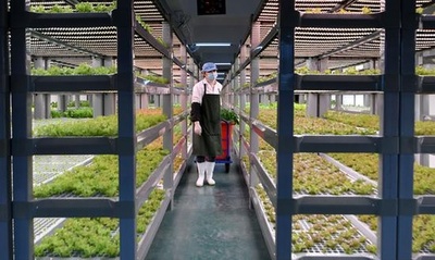 中国、世界初の20階建て垂直無人「植物工場」を開発