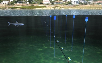 サメよけの電気バリアー、南アで実験
