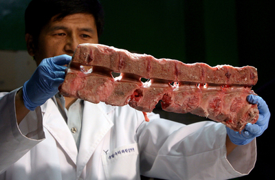 韓国政府、危険部位混入で米国産牛肉の検疫作業を一時停止