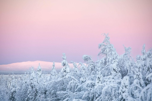 Finland 国際ニュース Afpbb News