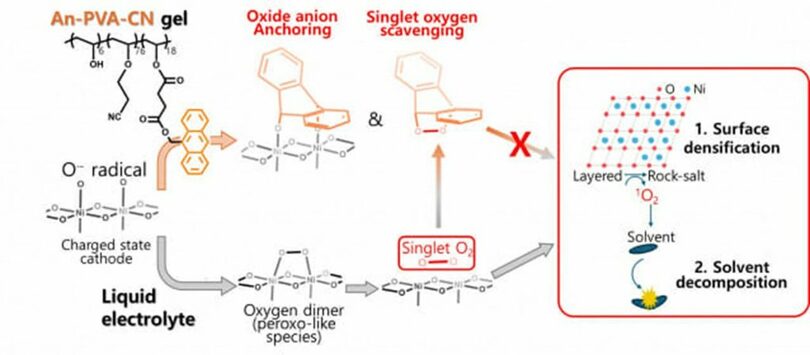 アントラセン基盤のジェル電解質の作用原理＝UNIST(c)KOREA WAVE