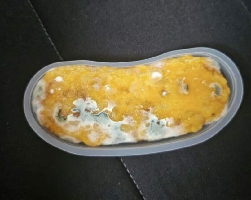 オンラインコミュニティキャプチャ(c)MONEYTODAY