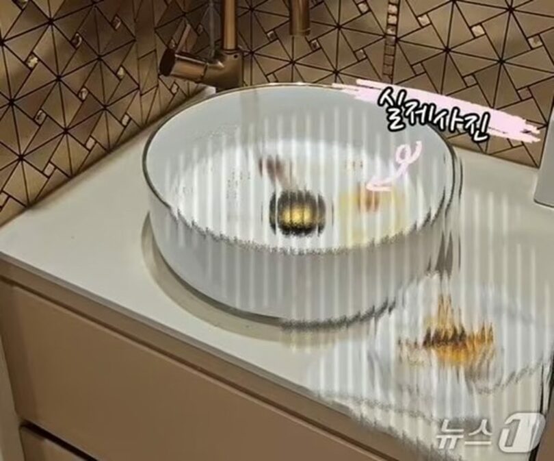 SNSキャプチャー(c)news1