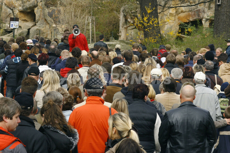 人工飼育中のホッキョクグマ「クヌート」、世界中で大人気 - ドイツ