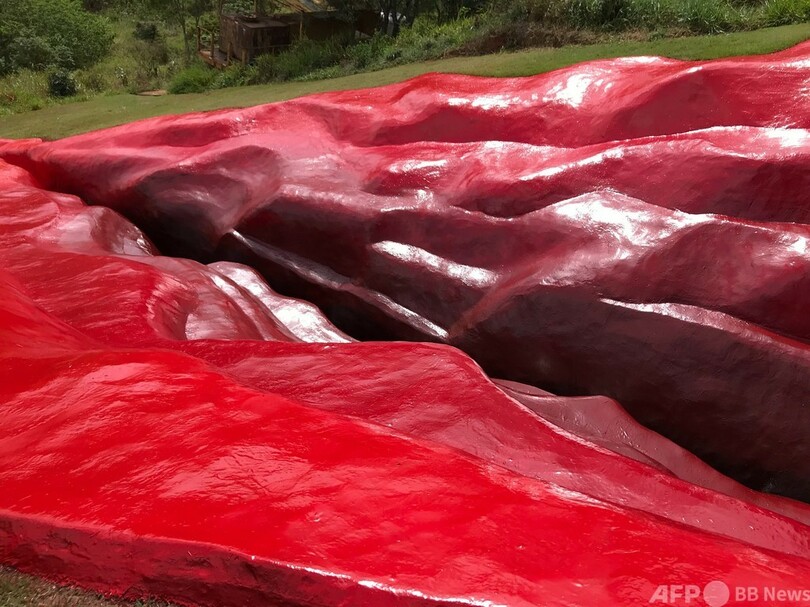 畑に現れた「傷」 巨大女性器彫刻でジェンダー問題提起 ブラジル